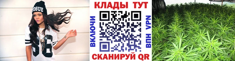 Где купить наркотики Старая Купавна СОЛЬ  Конопля  Кокаин  Амфетамин  ГАШИШ  МЕФ 