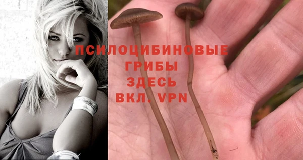 марки nbome Аркадак