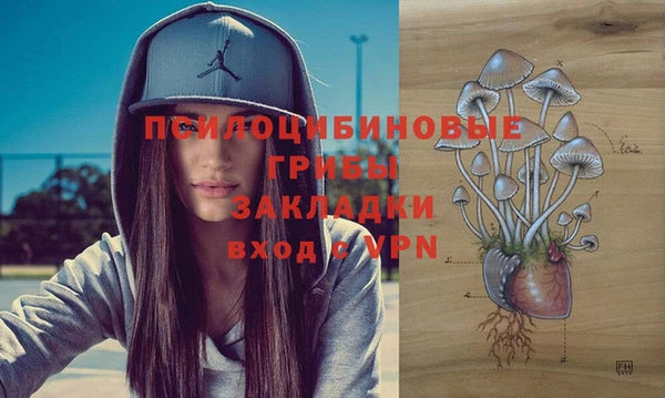 марки nbome Аркадак