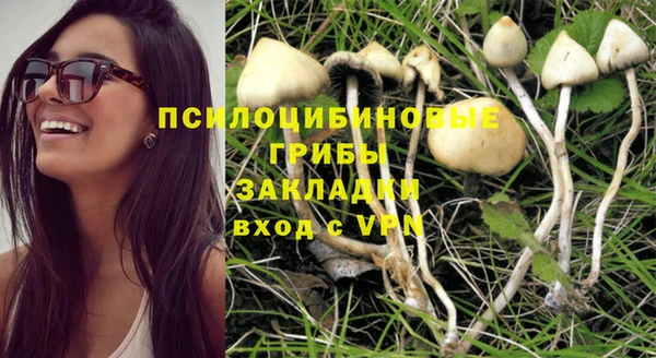 гашик Армянск